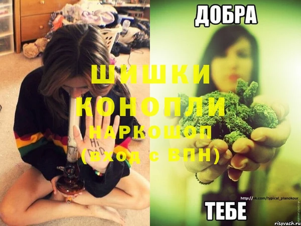 шишки Лиски
