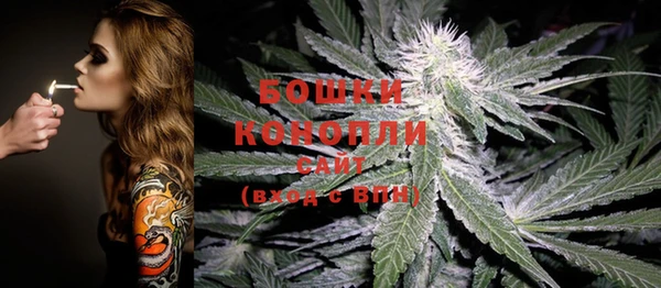 стаф Липки