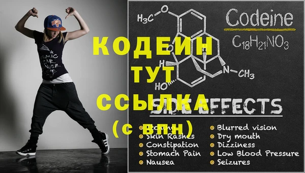 стаф Липки