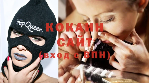 шишки Лиски