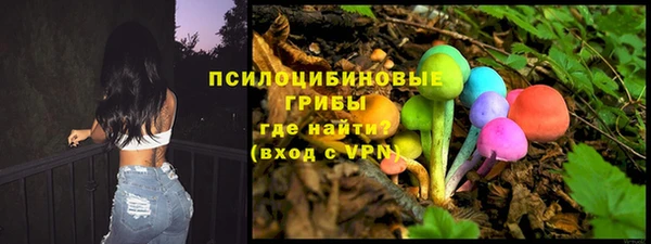 шишки Лиски
