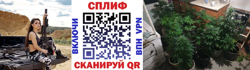 Бошки марихуана тримм  MEGA ONION  Шумерля 